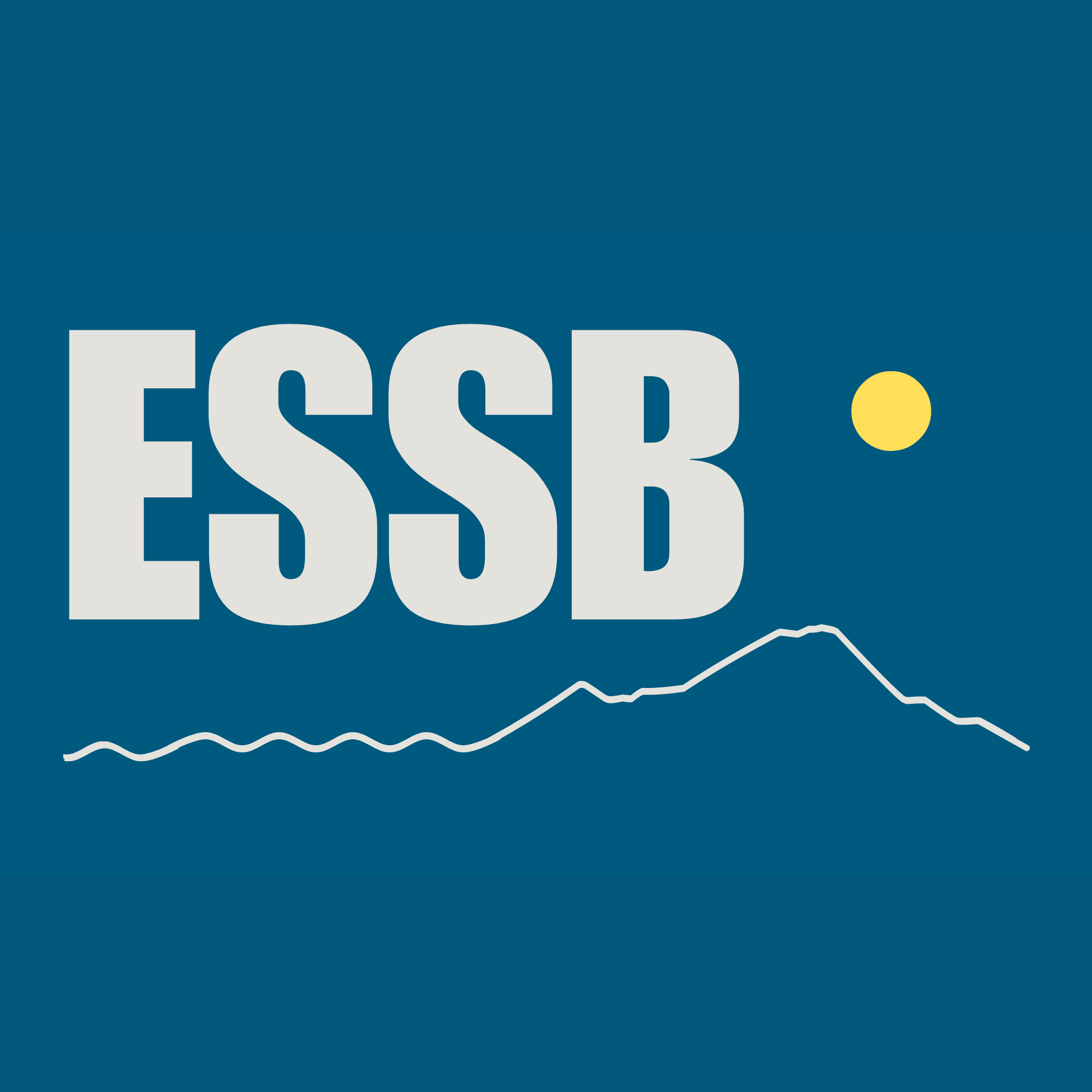square logo ESSB